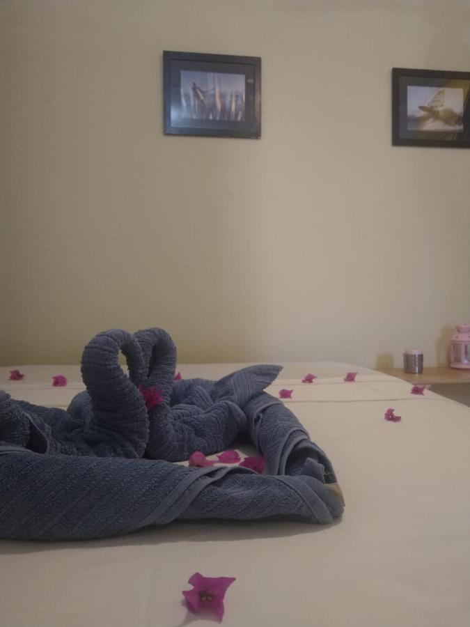 Benu Suites ジジョーカ・デ・ジェリコアコアラ エクステリア 写真
